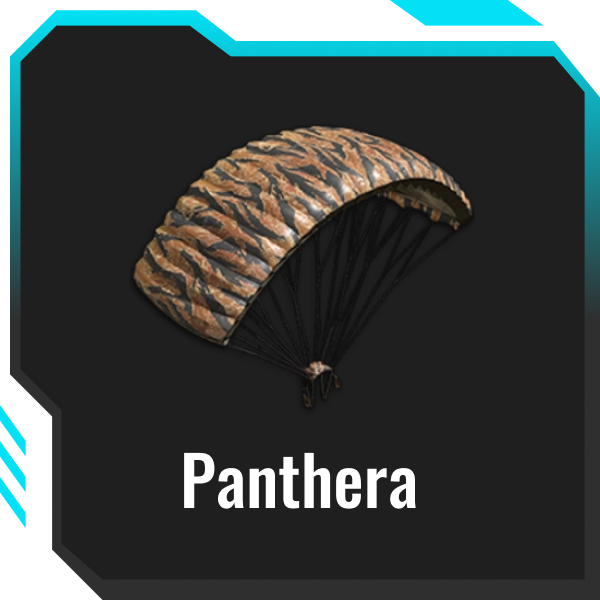 Skin Tool