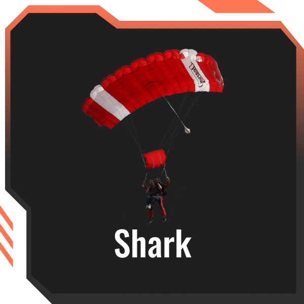 Skin Tool