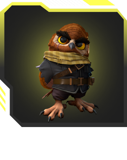 Skin Tool